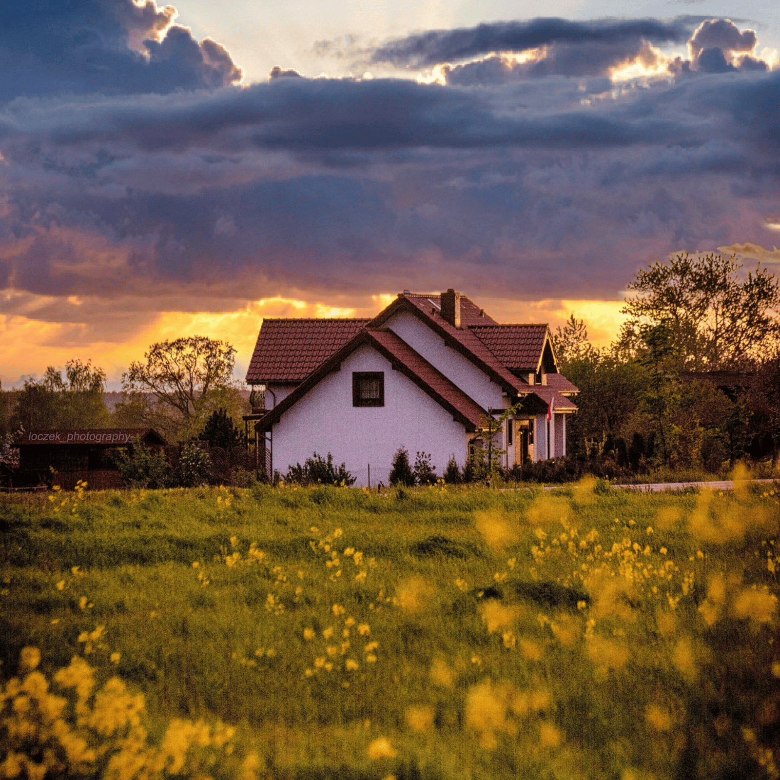 Farmland / Farmhouse